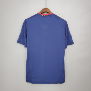 camiseta españa 2010 segunda dorsal
