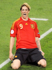 torres eurocopa 2008