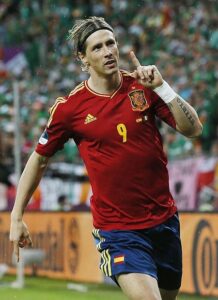 torres eurocopa 2012