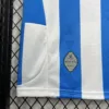 Camiseta Espanyol 2024-2025 logo