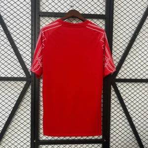 Camiseta PSG Rojo 2024-2025 dorsal