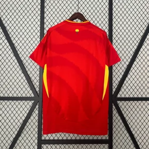 Camiseta de España 2024 Eurocopa dorsal