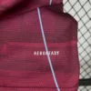Camiseta Aston Villa 2025-2026 material