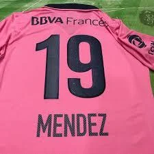 Camiseta-Boca-Juniors-2013-2014-Rosa-manga-larga-dorsal