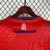 Camiseta CA Osasuna 2024-2025 Budimir cuello posterior