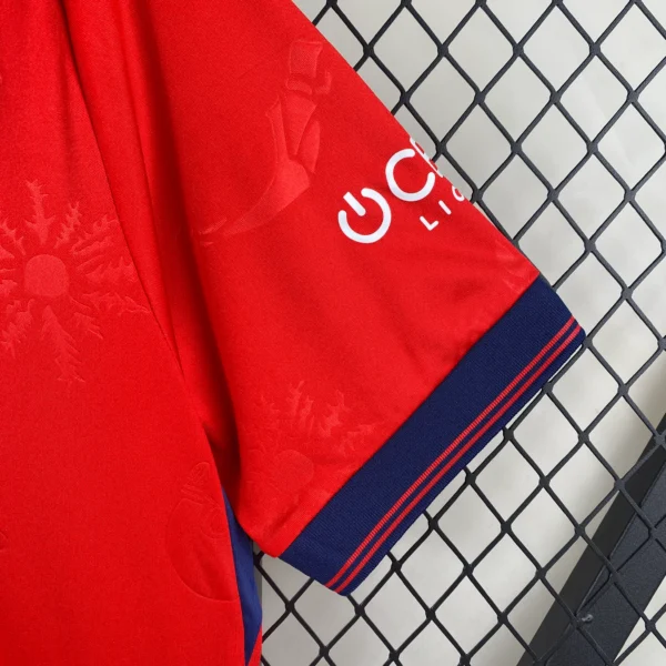 Camiseta CA Osasuna 2024-2025 Budimir manga