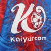Camiseta Cristal Palace final Fa Cup 2024-2025 logo-1