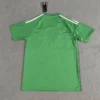 Camiseta Newcastle United 2025-2026 Verde dorsal