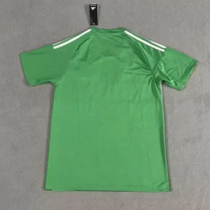 Camiseta Newcastle United 2025-2026 Verde dorsal