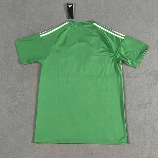Camiseta Newcastle United 2025-2026 Verde dorsal