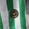 Camiseta Real Betis 2024-2025 Final Conference original
