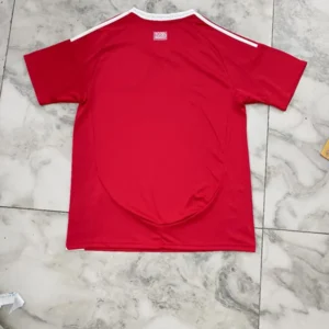 Nueva Camiseta Bayern Munich 2025-2026 Kane dorsal