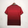 Camiseta Portugal Mundial 2014 Ronaldo dorsal
