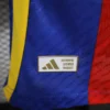 Camiseta entrenamiento España 2024 azul original