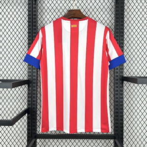 Camiseta Retro Atletico Madrid 2012-2013 Falcao dorsal