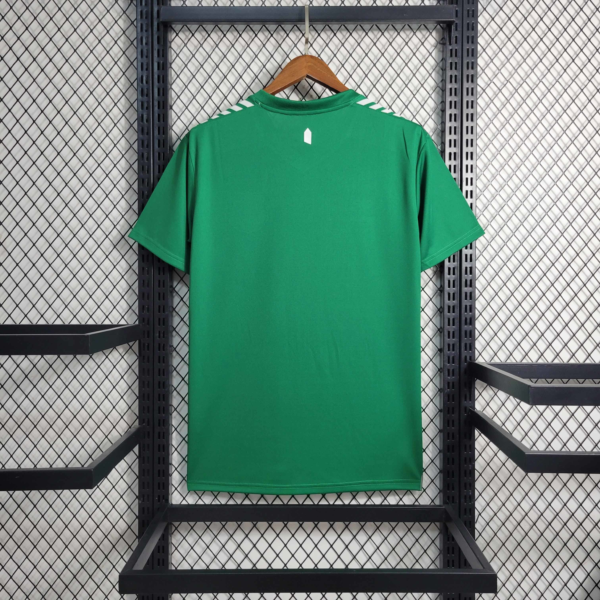 Camiseta Everton 2023-2024 Verde Esmeralda anterior dorsal