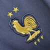 Camiseta Francia 2022 Benzema escudo