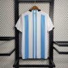 Camiseta Messi 2023 Campeon Mundial dorsal