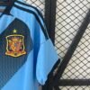 Camiseta Retro España Iniesta 2012 Azul manga