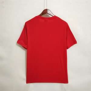Camiseta Retro Inglaterra 1966 rojo dorsal