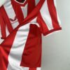 Camiseta Almeria Robertone 2023-2024 lateral