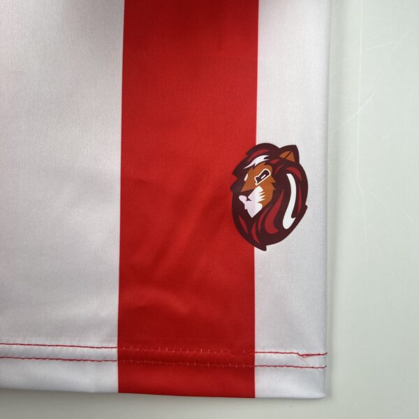 Camiseta Almeria Robertone 2023-2024 leon