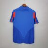 Camiseta Francia Eurocopa 2004 dorsal