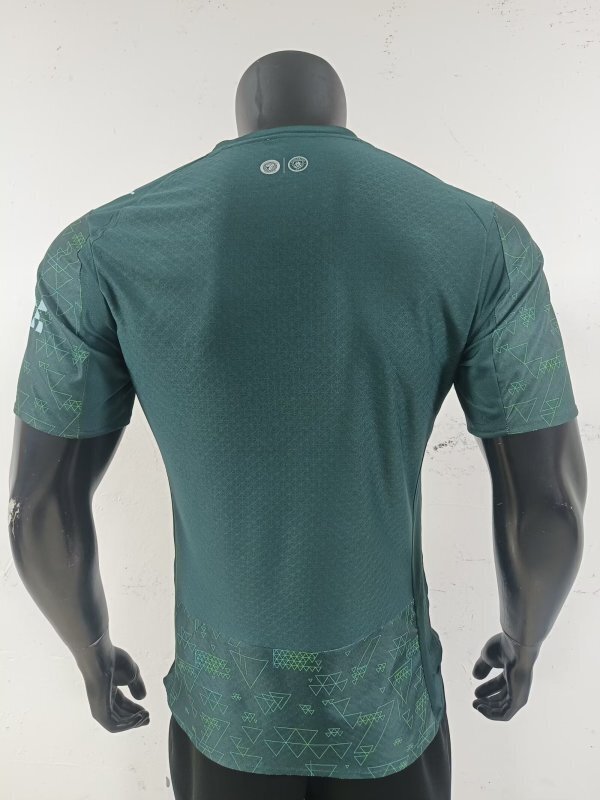Camiseta Manchester City 2025-2026 Verde dorsal